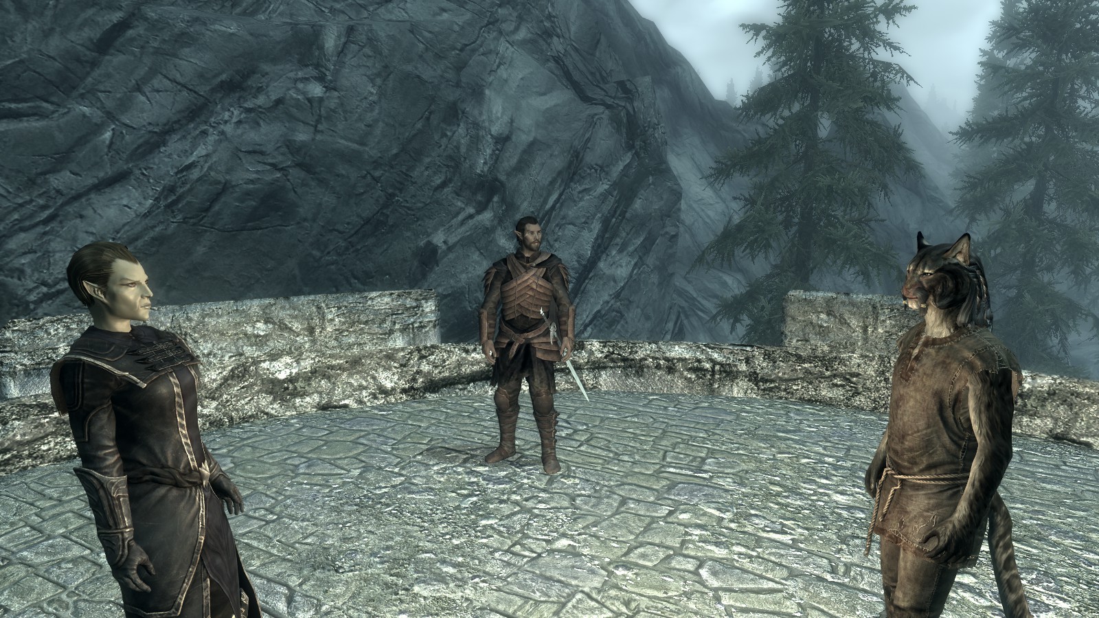 skyrim free prisoner